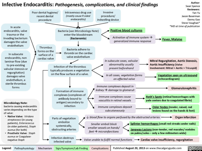 Heart inflammation | PaReflectionEd