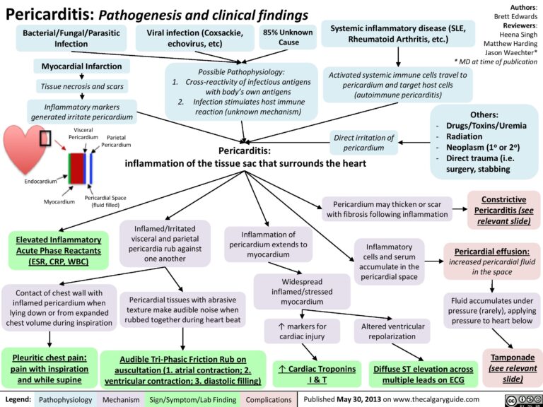 heart-inflammation-pareflectioned