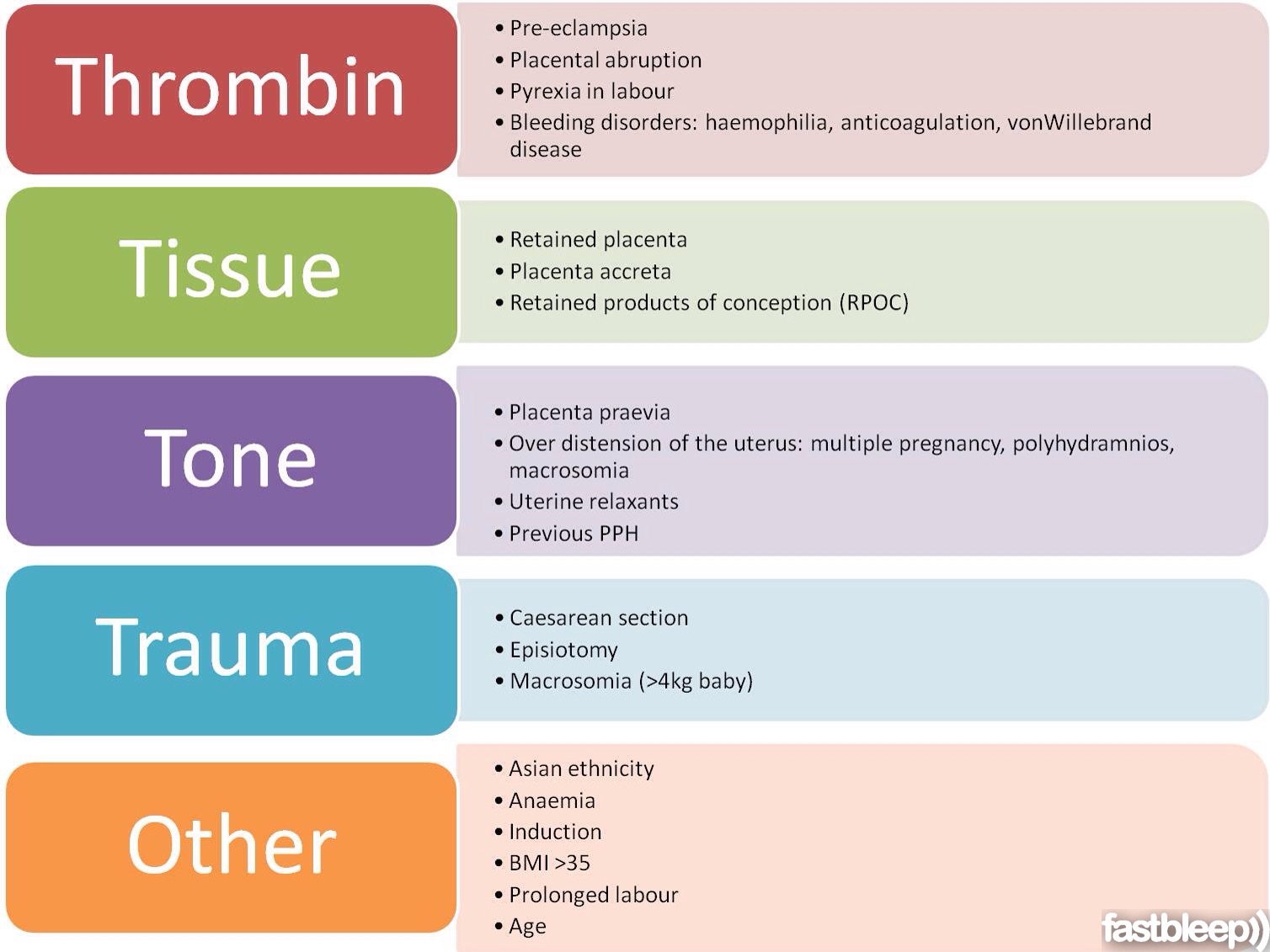 secondary-pph-pareflectioned